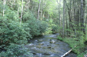 View of little Pigeon River in Great Smoky Mtn National Park-Wears Valley area -real estate