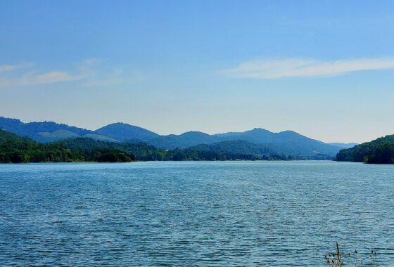 Cherokee Lake in Morristown Tn